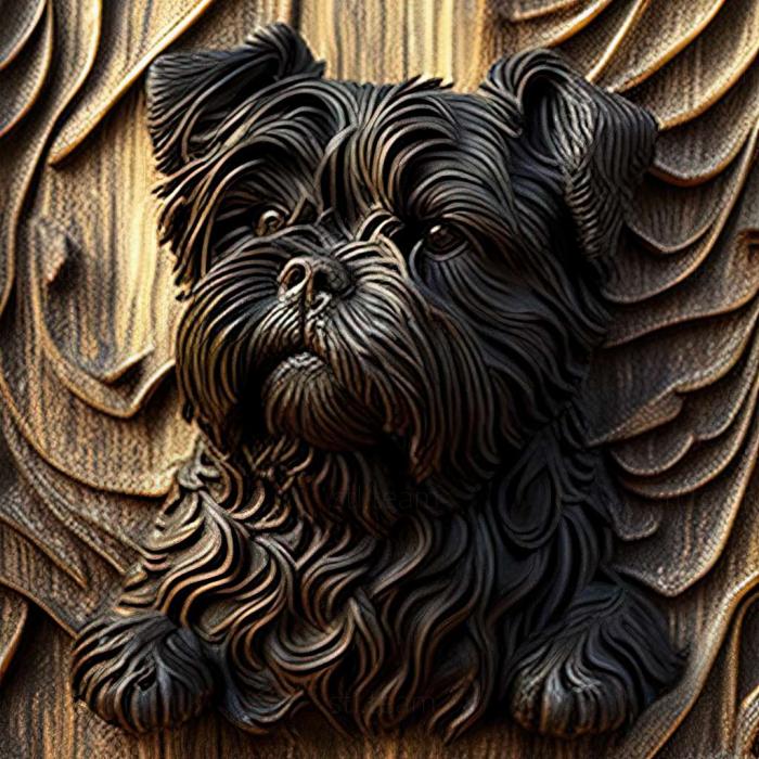 3D model Affenpinscher dog (STL)